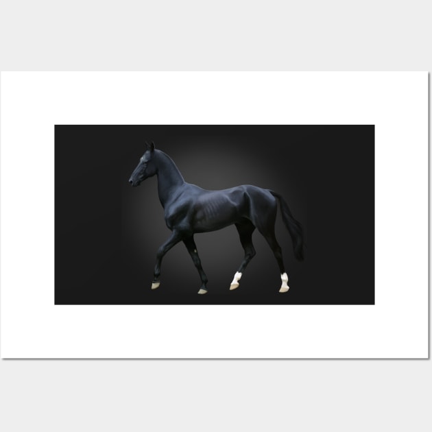 Black Akhal-Teke (Slate) Wall Art by KJL90